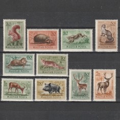 Erdei &Aacute;llatok (Animale de Padure) LP 1345-1354 1953