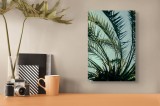 Tablou Canvas, "Frunze de palmier &icirc;n aer curat", Frunze, Palmier, Verde, Cer, Tropic, Textură, Natură, V&acirc;rfuri, Detalii, Lumină, 26 x 39 cm, CMCLASS
