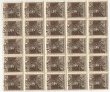 Romania, Em. Cluj, LP 8c/1919, Carol si Zita, bloc de 25 timbre, sup. depl., MNH