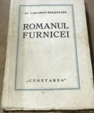 LITR2 Literatura Romanul Furnicei