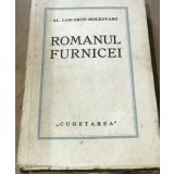 LITR2 Literatura Romanul Furnicei