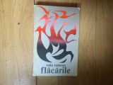 H0d Radu Tudoran - Flacarile
