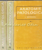 Cumpara ieftin Anatomie Patologica I-III - I. Moraru