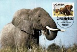C5262 - Uganda 1983 - fauna carte maxima