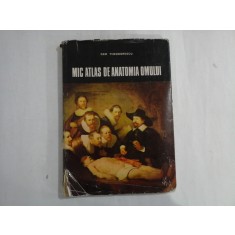 MIC ATLAS DE ANATOMIA OMULUI - DEM. THEODORESCU - ed.1982