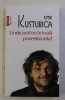 UNDE SUNT EU IN TOATA POVESTEA ASTA ? de EMIR KUSTURICA , 2015