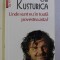 UNDE SUNT EU IN TOATA POVESTEA ASTA ? de EMIR KUSTURICA , 2015