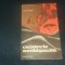 RADU THEODORU - CALATORIE NEOBISNUITA