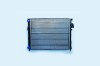 Radiator Motor 153305 con75376