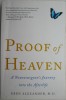 Proof of Heaven. A Neurosurgeon&#039;s Journey into the Afterlife &ndash; Eben Alexander (cateva insemnari in creion)