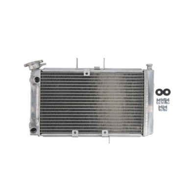 RADIATOR TRIUMPH TIGER 800 2011 2014 foto