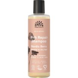 Sampon reparator Nordic Berry pentru par normal spre uscat
