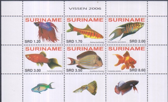 Timbre cu pești din toată lumea din Suriname