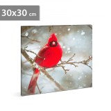 Tablou de perete cu LED-uri - finch roșu - 30 x 30 cm