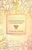PIRKEI AVOT-CHAIM STERN-361347
