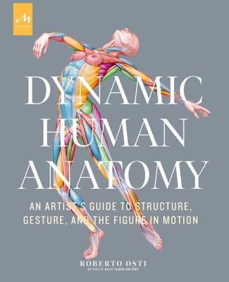 Dynamic Human Anatomy: An Artist&#039;s Guide to Structure, Gesture, and the Figure in Motion