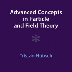 Advanced Concepts in Particle and Field Theory