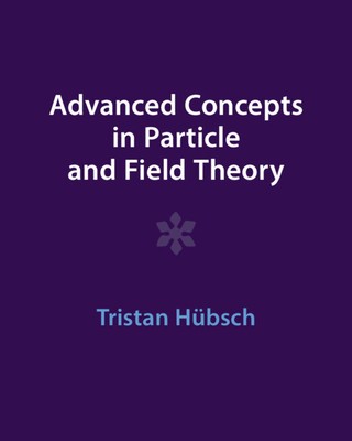 Advanced Concepts in Particle and Field Theory foto
