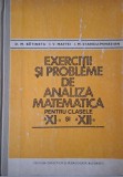 Exercitii si probleme de analiza matematica pentru clasele a XI-a si a XII-a &ndash; D. M. Batinetu