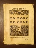 Al. O. Teodoreanu - Un porc de c&acirc;ne