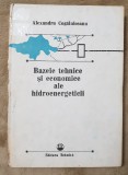 Bazele tehnice și economice ale hidroenergeticii - Alexandru Cogălniceanu