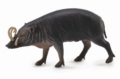 Figurina Porc Sulawesi Babirusa L Collecta foto