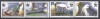 ROMANIA 2006 LP 1744 PASARI PROTEJATE LOPATARUL EURASIAN WWF SERIE MNH, Nestampilat