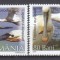 ROMANIA 2006 LP 1744 PASARI PROTEJATE LOPATARUL EURASIAN WWF SERIE MNH