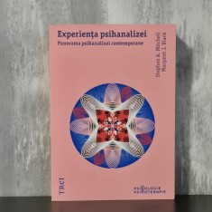 Margaret J. Black, Stephen A. Mitchell &ndash; Experiența psihanalizei