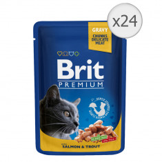 Hrana umeda pentru pisici Brit, Somon si Pastrav, 24x100g