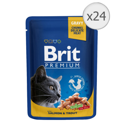 Hrana umeda pentru pisici Brit, Somon si Pastrav, 24x100g foto