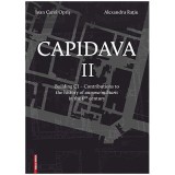 Capidava II. Building C1. Contributions to the history of annona militaris in the 6th century - Ioan Carol Opris, Alexandru Ratiu