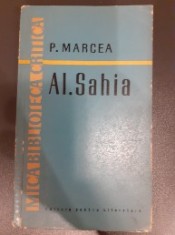 Al. Sahia - P. Marcea foto