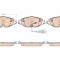 TRW GDB1956 COTEC set placute frana,frana disc
