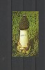 GUYANA 1990 CIUPERCI, Nestampilat