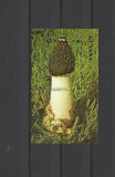 GUYANA 1990 CIUPERCI