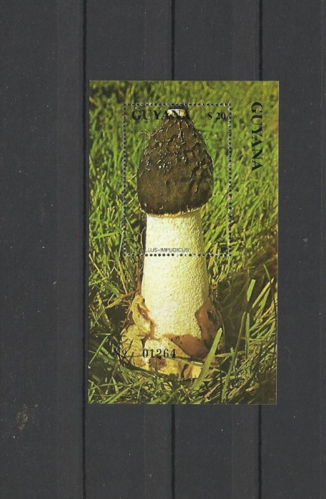 GUYANA 1990 CIUPERCI