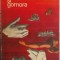 Curzio Malaparte - Sodoma si Gomora