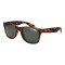 Ochelari de Soare Bărbați Superdry SDS-ALFIE 55102P