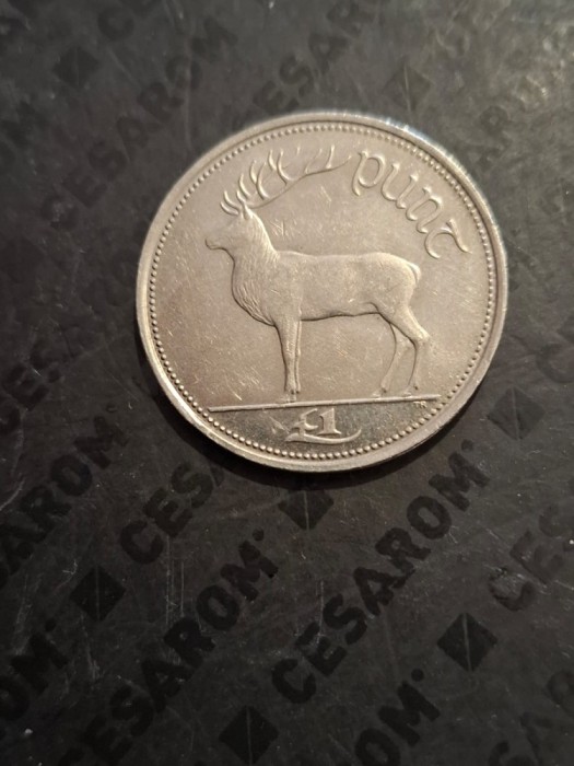 1 punt 2000 irlanda