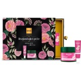 Weleda Wild Rose &amp; White Tea set cadou pentru femei Premium I.