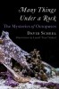 Many Things Under a Rock: The Mysteries of Octopuses