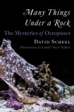 Many Things Under a Rock: The Mysteries of Octopuses