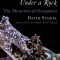 Many Things Under a Rock: The Mysteries of Octopuses