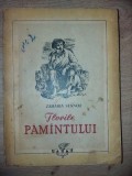 Florile pamintului- Zaharia Stancu