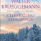 Celebrating Abundance: Devotions for Advent
