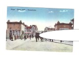 CP Lugoj - Podul peste Timis, pana in 1918, necirculata, animata, cu militari, stare buna