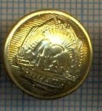 Y 2077 NASTURE MIC METALIC -MILITAR -PERIOADA RSR -PENTRU COLECTIONARI