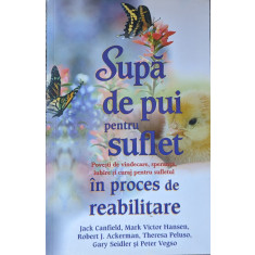 Supa De Pui Pentru Suflet - Jack Canfield Si Colab. , A1093