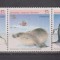TERITORIILE ANTARTICE AUSTRALIA FAUNA POLARA MI. 79-83 MNH